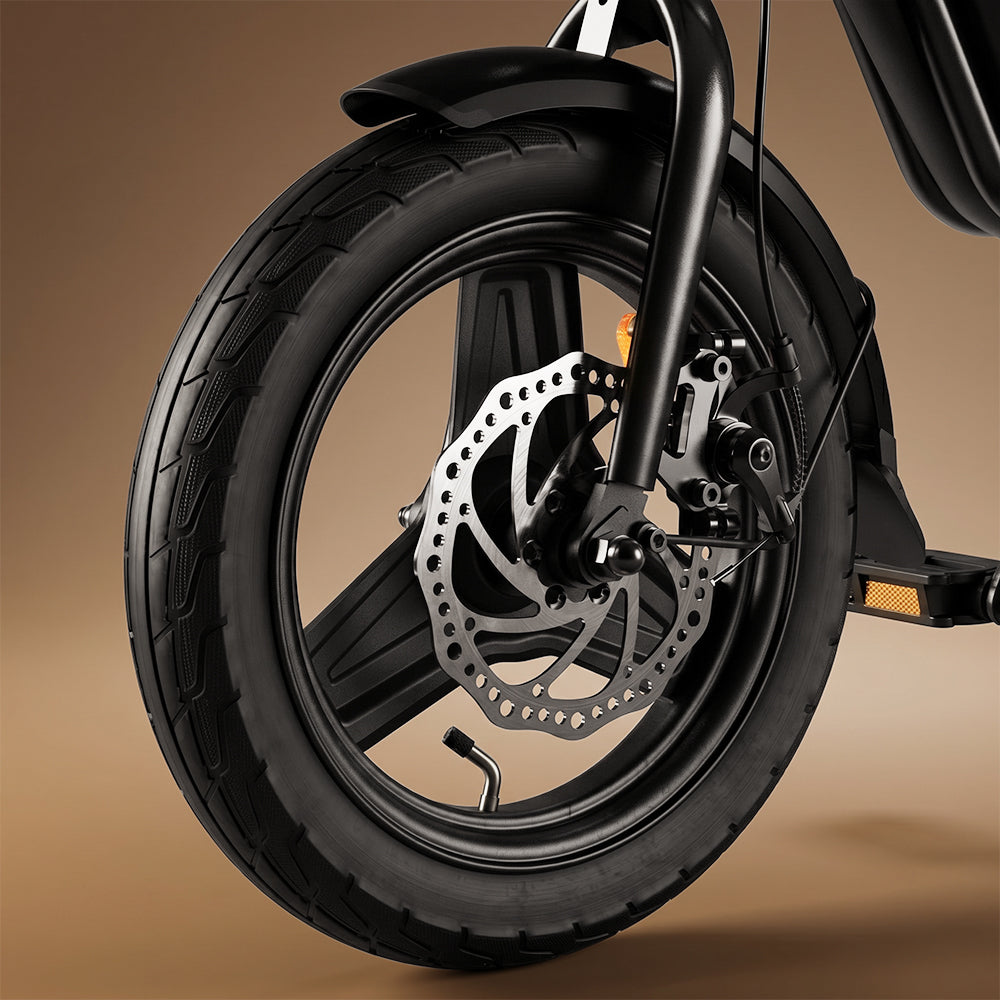 RIDEN EB1S Compact City Electric Bike | 250W, Top Speed 15.5mph, Pedal Assist, App Control, Folding
